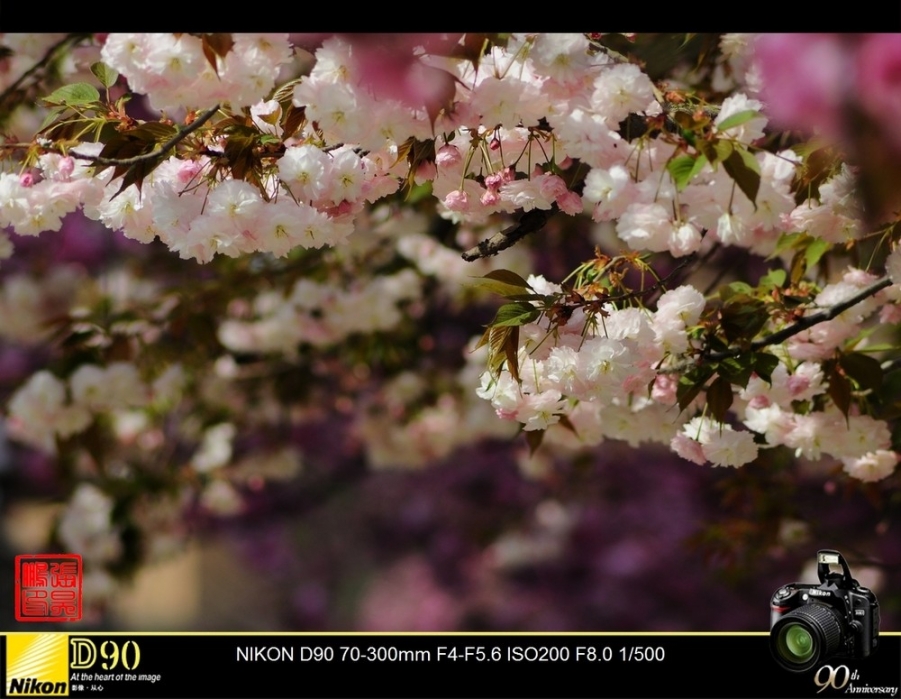 a15289948_01000.jpg