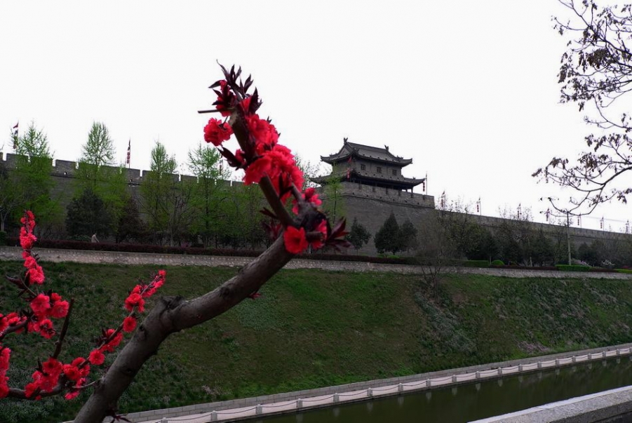 L1001481a_调整大小.JPG