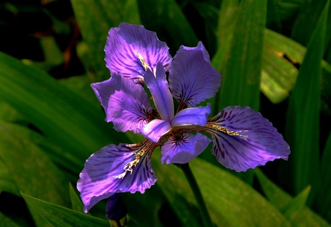 psbCAE483I5.jpg