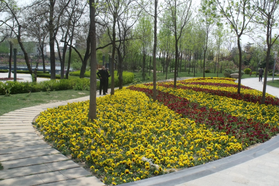 DSCF1220.JPG