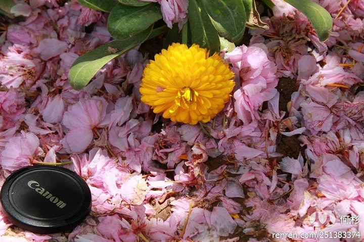 large_sjSv_1a48000003fe1260.jpg