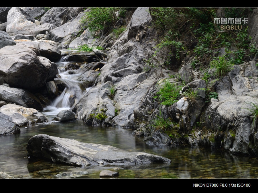 DSC_5645.jpg
