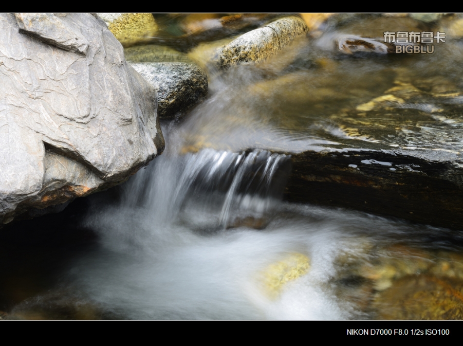 DSC_5649.jpg