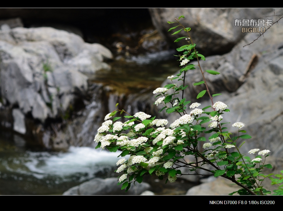 DSC_5697.jpg