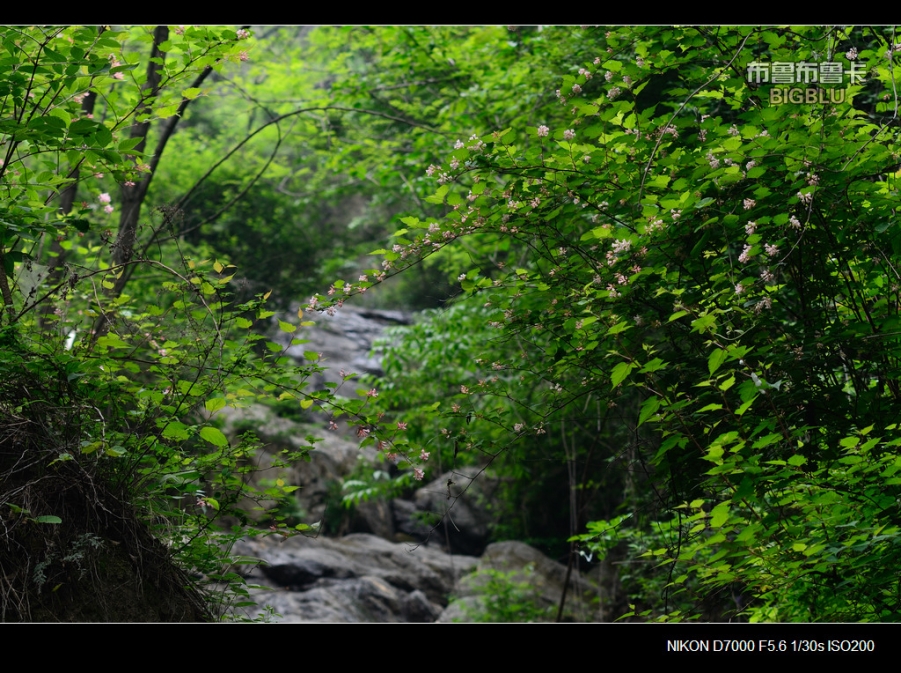 DSC_5737.jpg