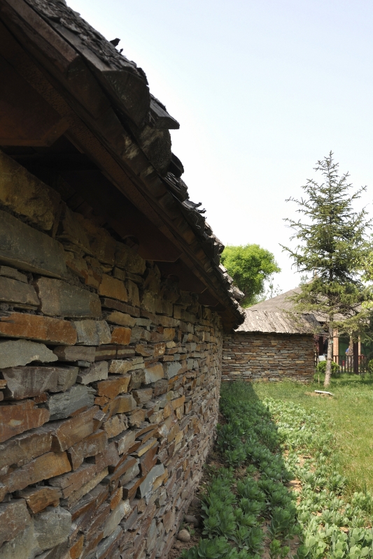 _DSC0290_副本_01.JPG