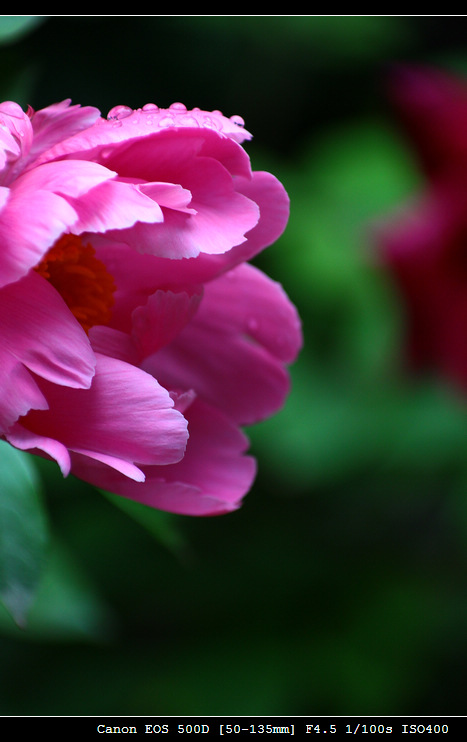 IMG_7182.jpg