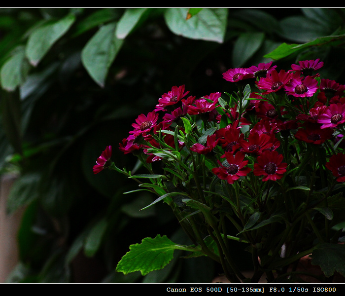IMG_7640.jpg