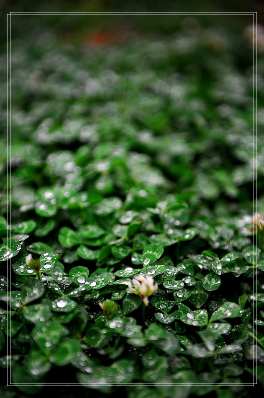 DSC_7643.jpg