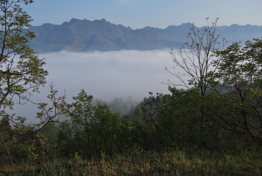 DSC_1350.JPG