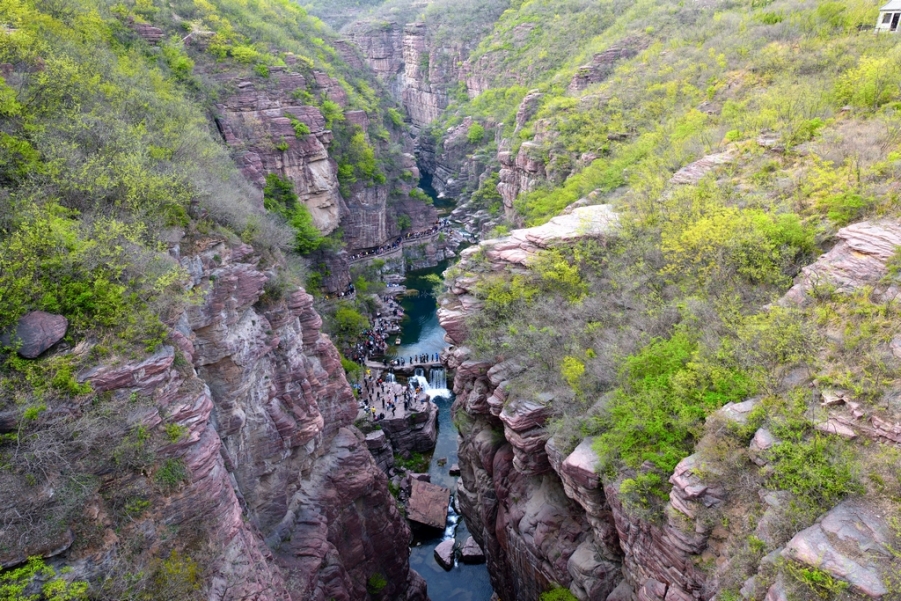DSC_0726.jpg