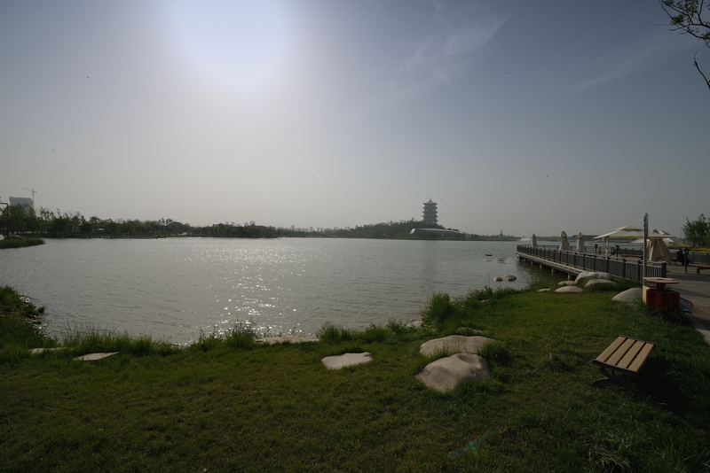 DSC_2041.jpg