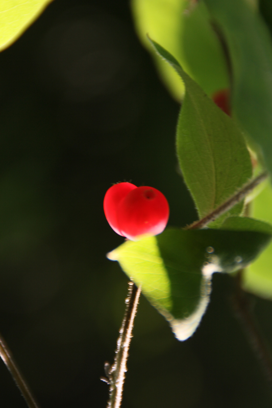 照片 010.jpg