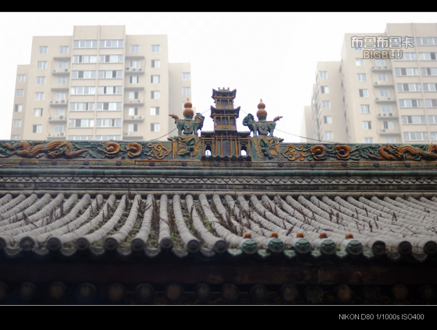 DSC_5870.jpg