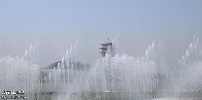 IMG_5550ab.jpg