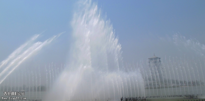 IMG_5563ab.jpg