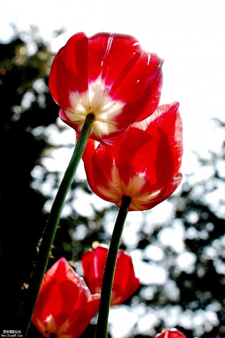 DSC_0374.JPG
