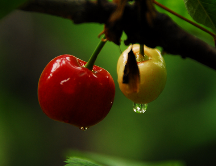 DSC_0054.JPG