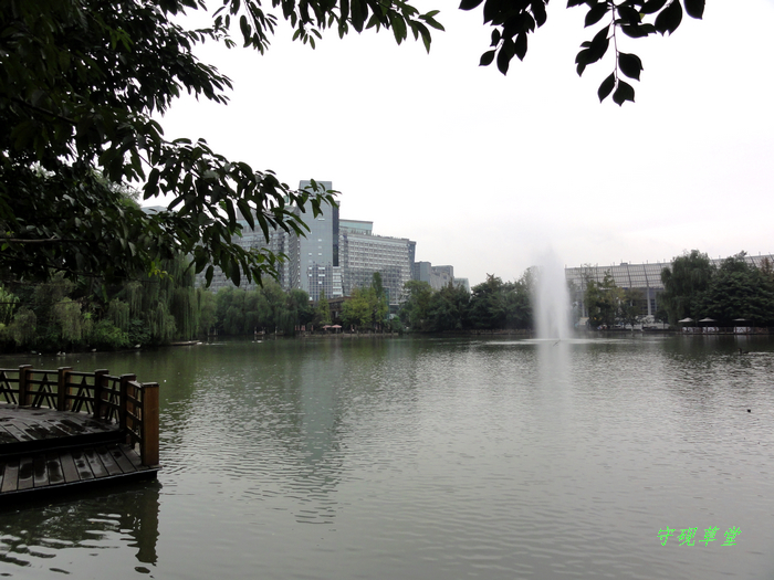 DSC00433.jpg