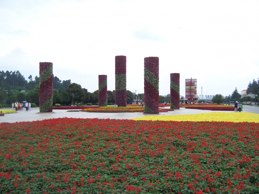 100_3297.JPG
