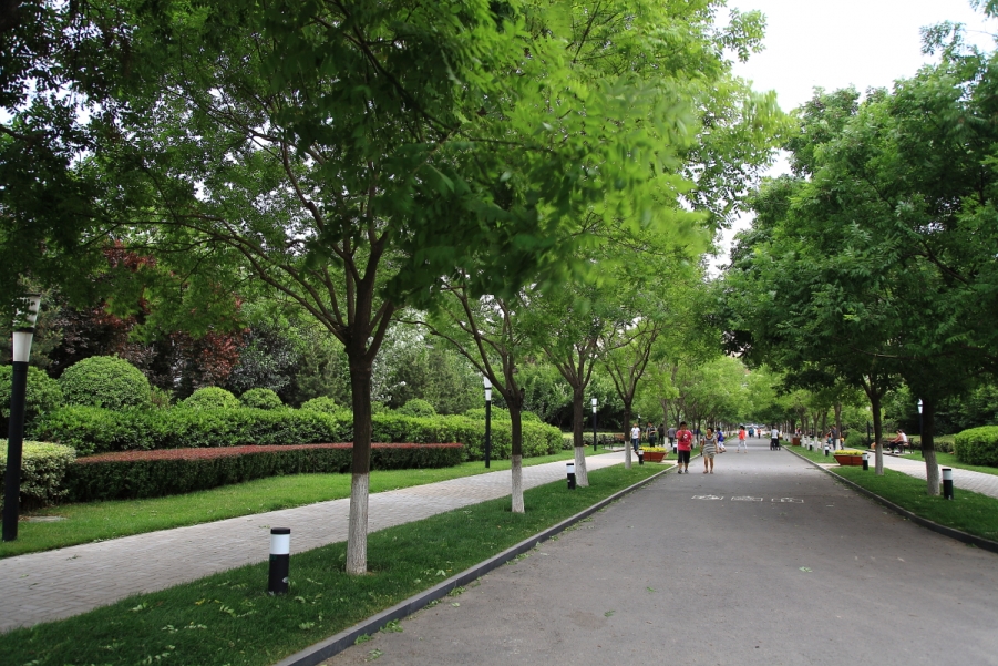 DPP_0015.JPG