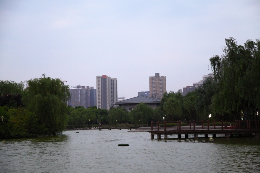 DPP_0022.JPG