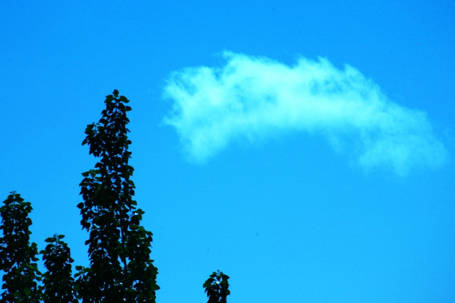照片12 011.jpg