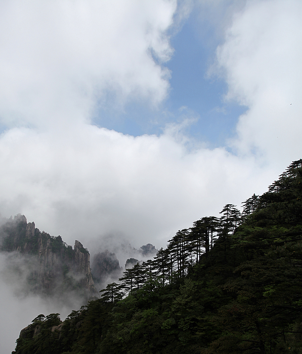 黄山景致14.jpg