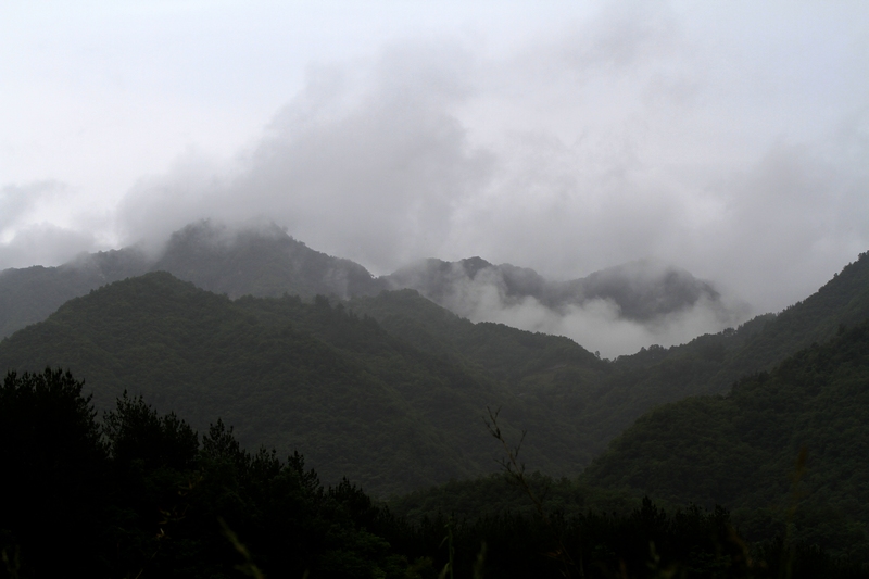 _MG_4724.jpg