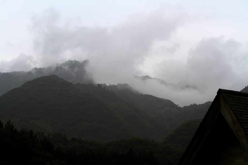 _MG_4728.jpg