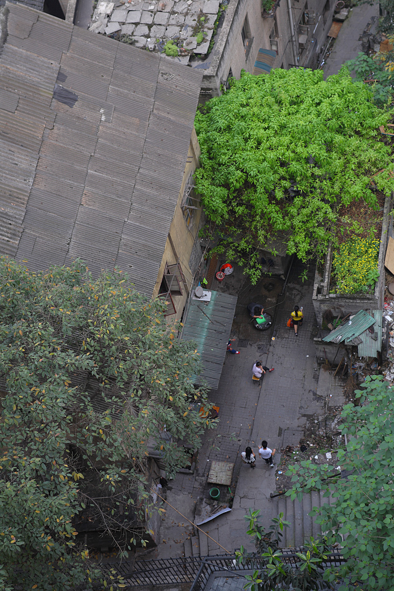 DPP_0030.JPG