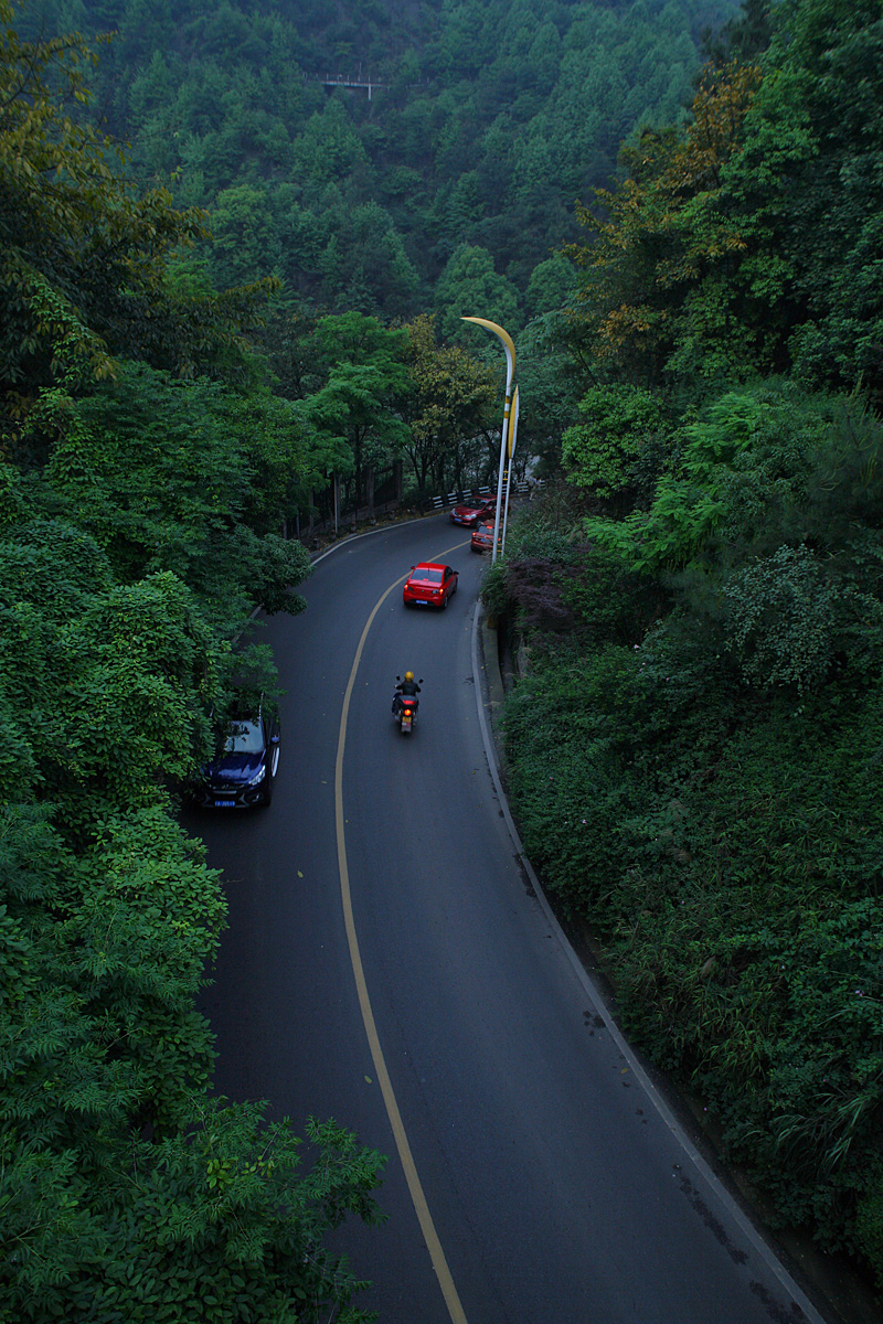 DPP_0051.JPG