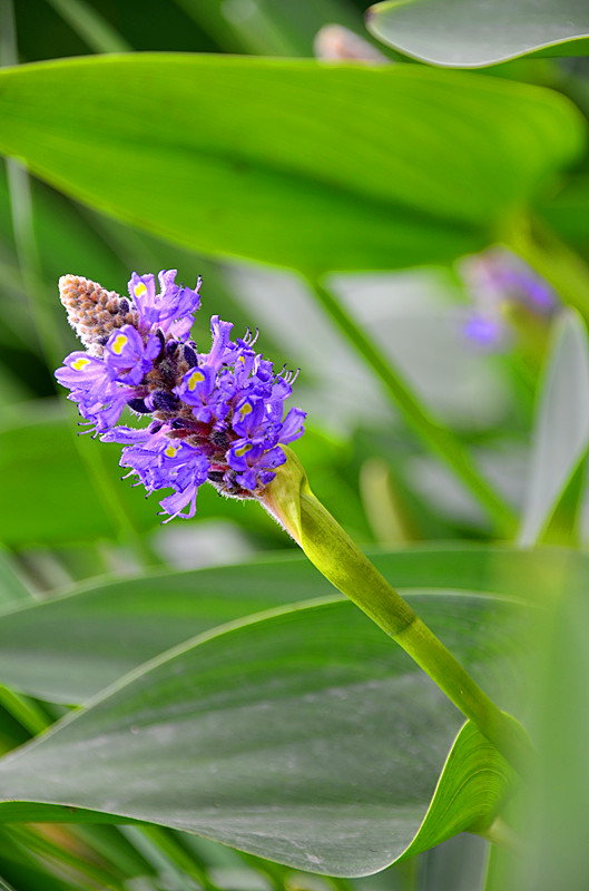 DSC_3553_副本.jpg