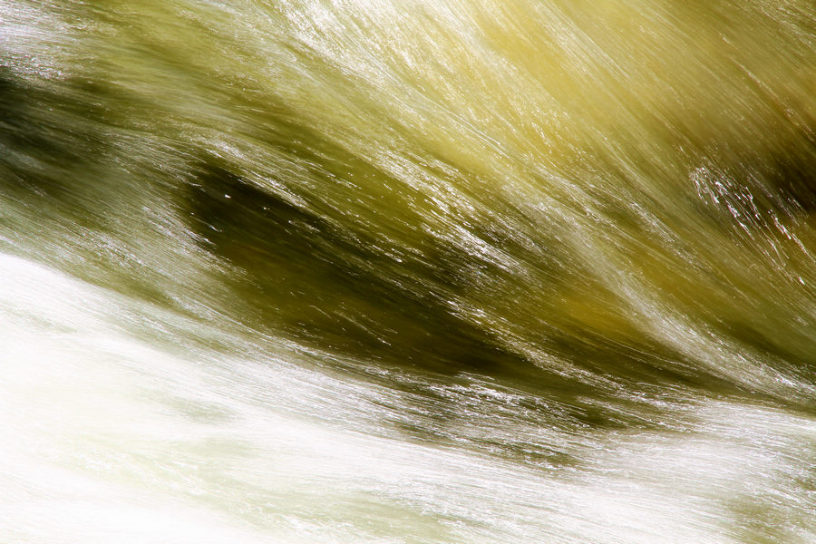 _MG_9644.JPG