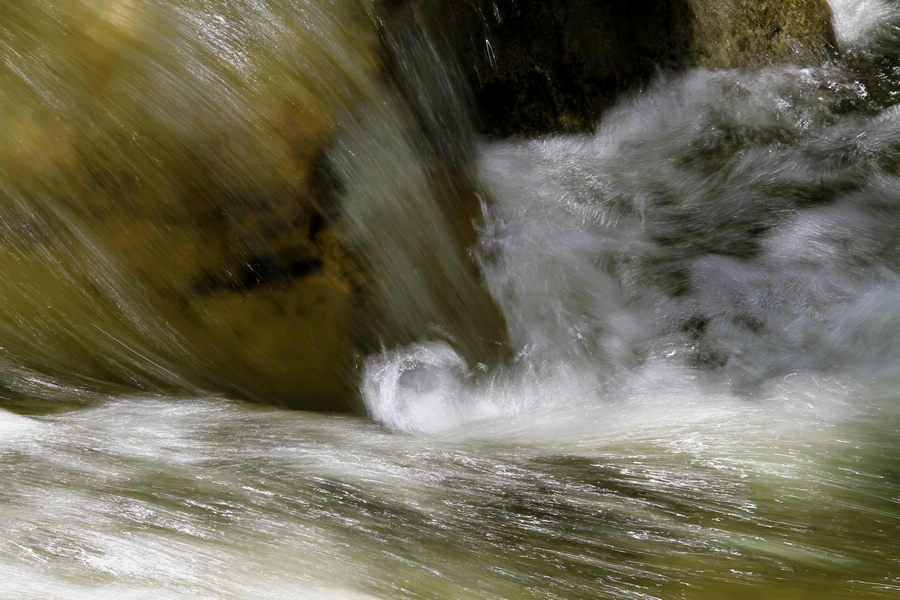 _MG_9647.JPG