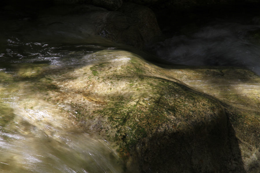_MG_9661.JPG