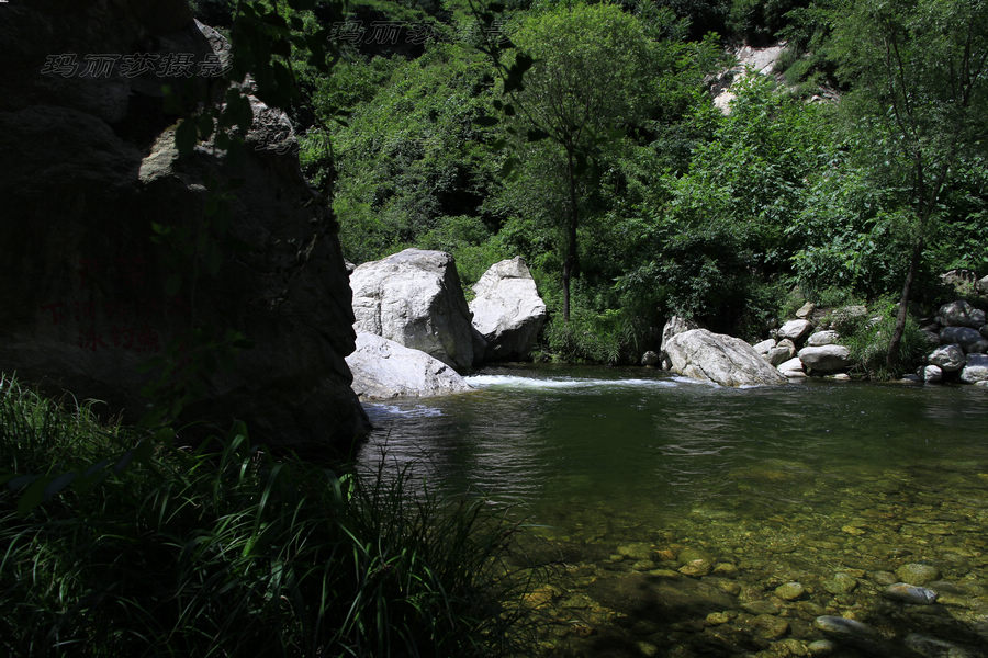 _MG_9453.JPG