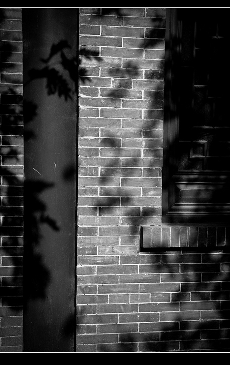 _MG_1069.jpg