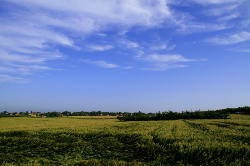 _MG_9252.jpg