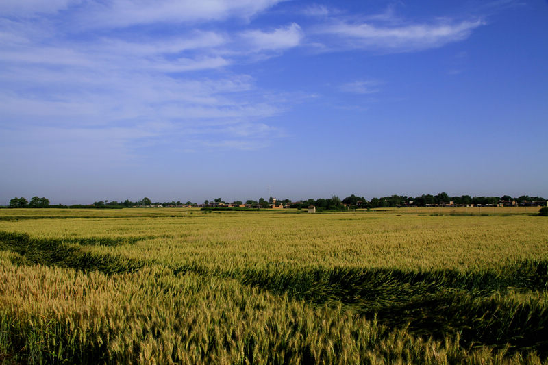 _MG_9216.jpg