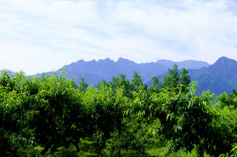 _MG_9355.jpg