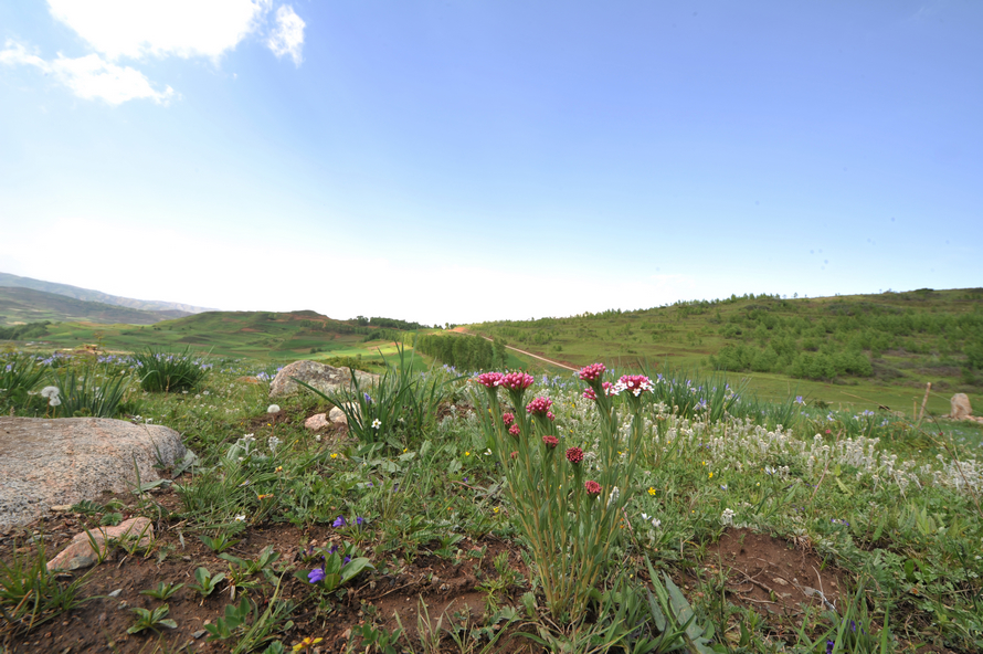 1DSC_1529.jpg