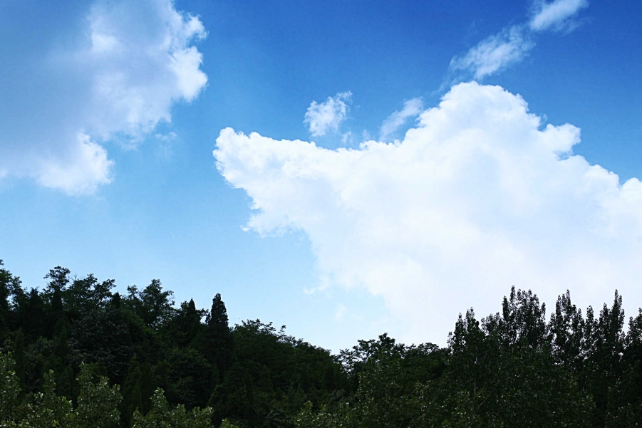 照片12 066.jpg