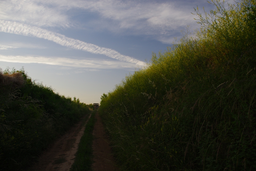 IMGP2638.JPG