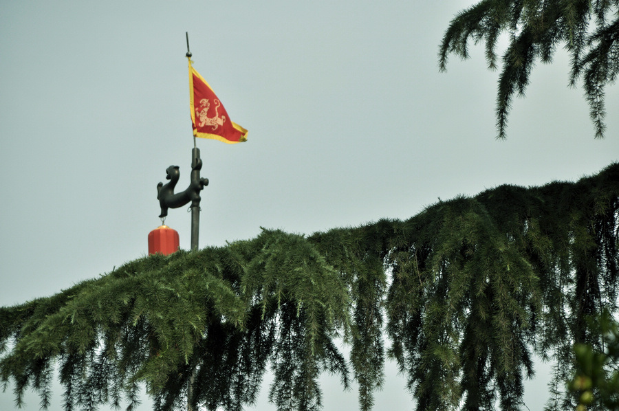 欢迎.JPG