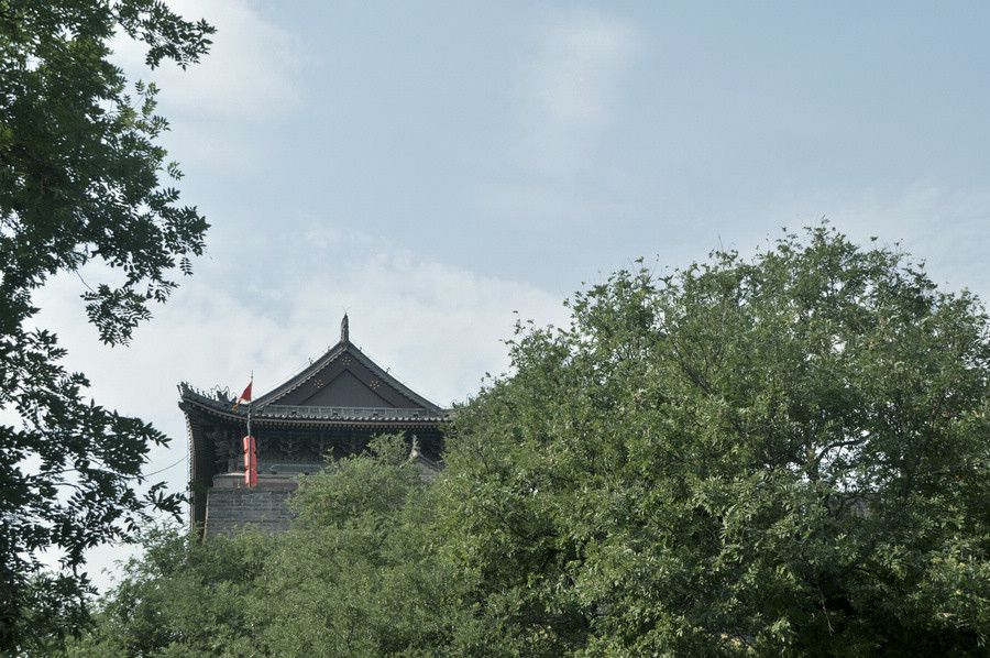 陪衬.JPG