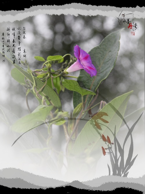 照片 657.jpg