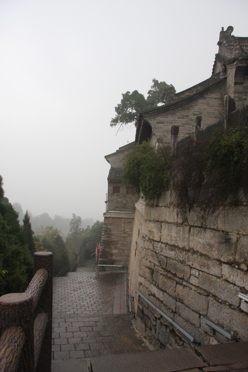 照片 181.jpg