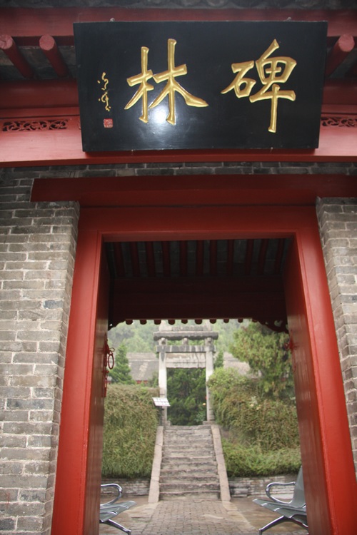 照片 207.jpg
