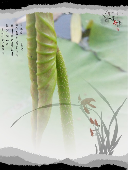 照片 117.jpg